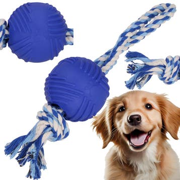 Hondenspeelgoed - Kauwbeen - Apporteren -Honden - Speeltje, Ophalen of Verzenden, Nieuw