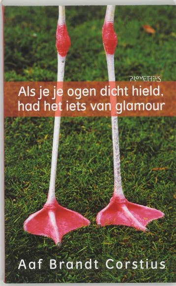 Als je je ogen dicht hield, had het iets van glamour, Verzenden, Gelezen, Aaf Brandt Corstius