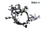 Kabelboom Kawasaki Z 900 2025- (26031-7049), Verzenden, Gebruikt