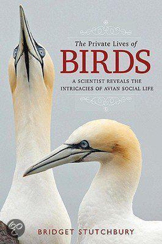 The Private Lives of Birds - Bridget Stutchbury, Boeken, Taal | Engels, Zo goed als nieuw, Verzenden