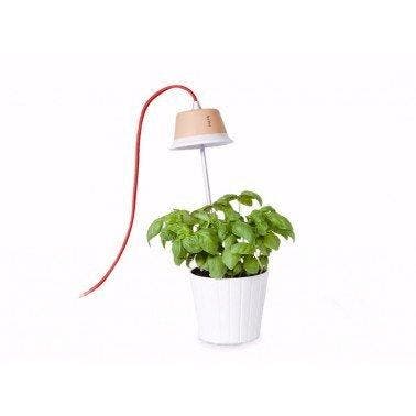 linealight - linealight group - Lamp - chlorofyl -, Antiek en Kunst, Curiosa en Brocante