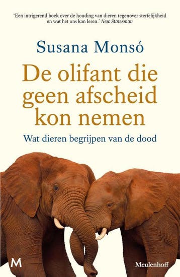 De Olifant Die Geen Afscheid Kon Nemen | Susana Monsó, Ophalen of Verzenden, Nieuw, Susana Monsó