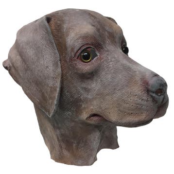 Hondenmasker bruine labrador, Verzenden, Nieuw
