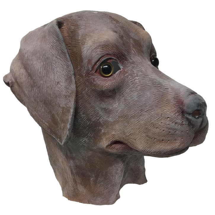 Hondenmasker bruine labrador, Hobby en Vrije tijd, Feestartikelen, Nieuw, Verzenden