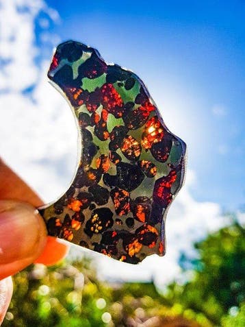 Pallasiet Sericho pallasite - Hoogte: 5.6 cm - Breedte: 3.5