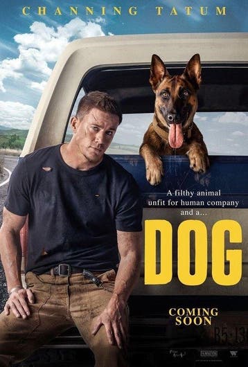 Dog - DVD, Verzenden, Nieuw in verpakking