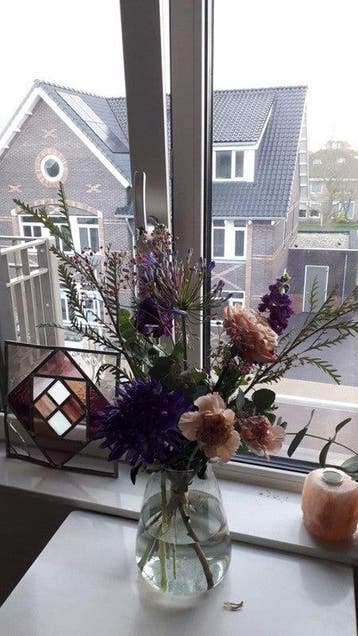Te huur: Appartement Winterakoniet in Nootdorp, Huizen en Kamers, Appartement, Zuid-Holland, Nootdorp