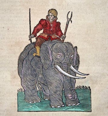 Conrad Gesner [1516-1565], Konrad Gessner - Elephant and