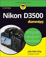 9781119561835 Nikon D3500 For Dummies Julie Adair King, Verzenden, Nieuw, Julie Adair King