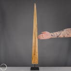 Exclusief Marlin-rostrum op standaard een indrukwekkend