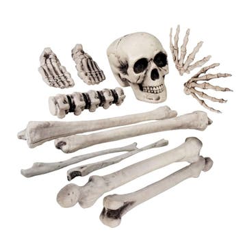 Plastic Doodshoofd en beenderen (12 stuks) Halloween /, Verzenden, Nieuw