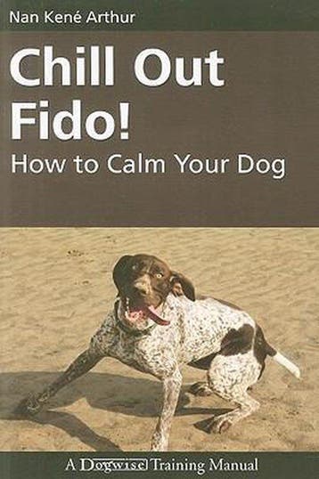 Chill Out Fido! - Nan Kene Arthur 9781929242634, Verzenden, Gelezen, Nan Kene Arthur