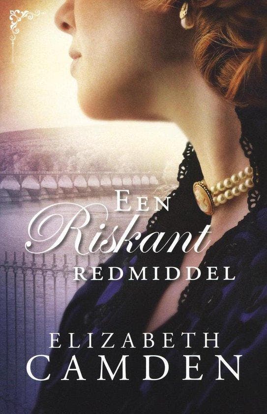 Een riskant redmiddel / Empire State / 3 - Elizabeth Camden, Boeken, Historische romans, Gelezen, Verzenden