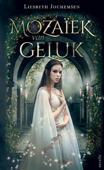 Mozaïek Van Geluk | Liesbeth Jochemsen | Nieuw, Boeken, Ophalen of Verzenden, Nieuw, Liesbeth Jochemsen
