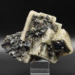 GROTE FLUORIET met glanzende galena, Sardinië Kristallen op