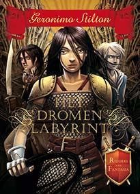 De Ridders van Fantasia 1 - Het Dromenlabyrint / Ridders van, Boeken, Kinderboeken | Jeugd | 10 tot 12 jaar, Verzenden, Gelezen