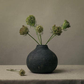 Tessa Posthuma de Boer - Queen Annes Lace #2