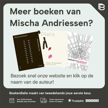 Probeer de hemel mijn huis te maken 9789021467702, Boeken, Verzenden, Zo goed als nieuw, Mischa Andriessen