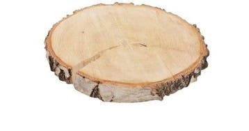 Boomstamschijf Berkenschijf rond ca. 23-26 cm, Ophalen of Verzenden, Nieuw