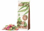 DUTCH HARVEST HENNEP THEE CHOCO 40 GR