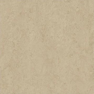 Forbo Marmoleum Modular Sandstone (PVC vloeren), Kunststof, Verzenden, 50 tot 150 cm, Overige typen