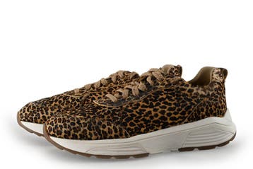 Xsensible Sneakers in maat 40 Panter, Kleding | Dames, Schoenen, Xsensible, Overige kleuren, Verzenden, Sneakers of Gympen