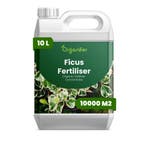 Ficus Vloeibare meststof - 10 liter, Verzenden, Mest