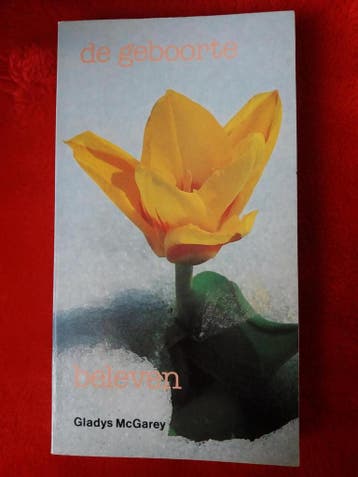 Geboorte beleven - MacGarey 9789020252309, Verzenden, Gelezen, MacGarey