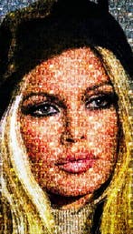 Una donna come me - Brigitte Bardot, Nieuw