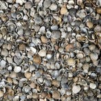 Gardenlux Schelpen 8-16 mm Bigbag 1 m3, Nieuw