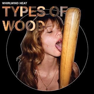 cd - Whirlwind Heat - Types Of Wood, Verzenden, Zo goed als nieuw