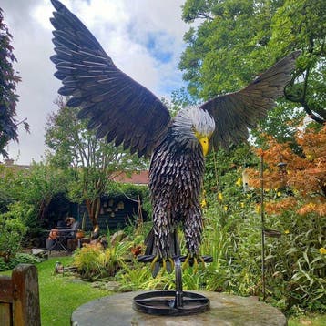 sculptuur, Flying Bald Eagle - 93 cm - Metaal