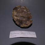 Neolithisch Vuursteen. 8 cm lang mes - 5000 v.Chr. Bijl