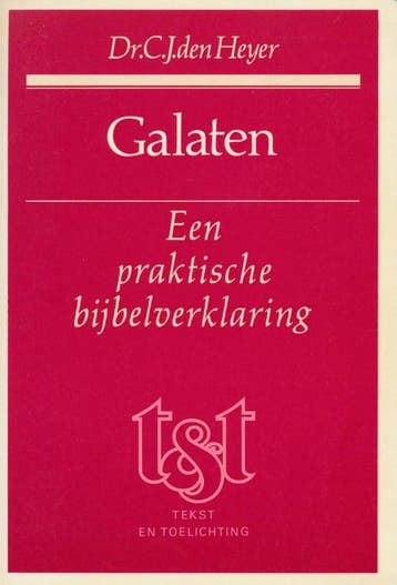 GALATEN - DEN HEYER 9789024251513, Verzenden, Gelezen, DEN HEYER