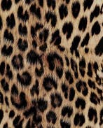 Aqua Protect Waterdicht Panter, Nieuw, Blauw