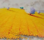 Roberto Mauri (1977) - Sinfonia di Giallo e Lavanda