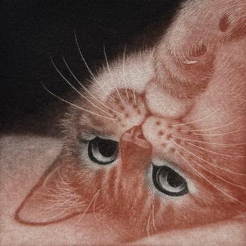 Peace - NO RESERVE PRICE ! - Emi Sat  (b 1973) -, Antiek en Kunst