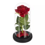 Ruhhy roos in glas – met LED-verlichting – luxe geschenk, Ophalen of Verzenden, Nieuw