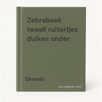 Zebraboek twaalf ruitertjes duiken onder - Shemin, Verzenden, Gelezen, Shemin
