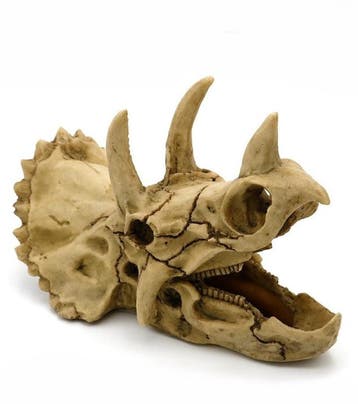 Prehistorische schedel / aquarium decoratie  18 cm As-218, Verzenden, Nieuw, Gevuld zeewateraquarium