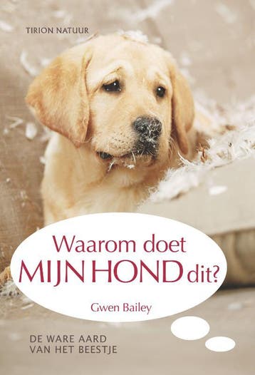 Waarom doet mijn hond dit? - Gwen Bailey 9789052108025, Verzenden, Gelezen, Gwen Bailey