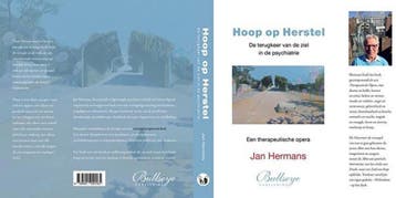 Hoop op herstel - Jan Hermans 9789491920165, Verzenden, Gelezen, Jan Hermans
