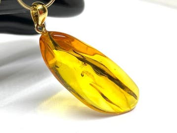 Amberhanger met insect: Baltisch amber met insluitsel • 925