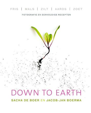 Down to earth - Sacha de Boer 9789000332816, Verzenden, Zo goed als nieuw, Sacha de Boer