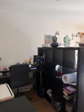 Te huur: Appartement Amsterdamsestraatweg in Utrecht, Utrecht, Appartement, Utrecht