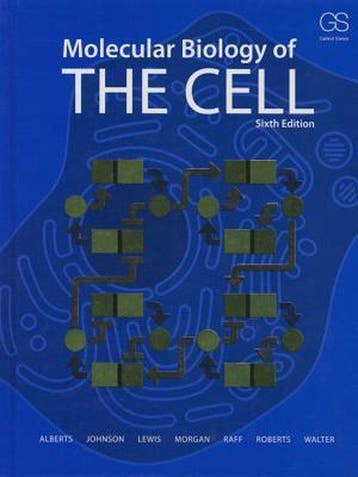 Molecular Biology of the Cell, 9780815344322, Boeken, Verzenden, Zo goed als nieuw, HBO