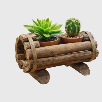 Rustieke Houten Plantenbak voor Succulenten & Cactussen - Ha, Verzenden, Nieuw