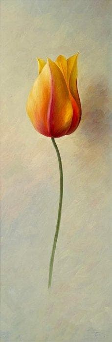 Fred Smoolenaers (1951) - Tulp