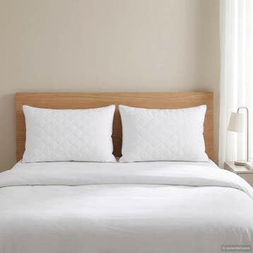 vidaXL Hoofdkussen FULDA 2 st 60 x 70 cm 100% Ganzendons en, Verzenden, Nieuw, Wit