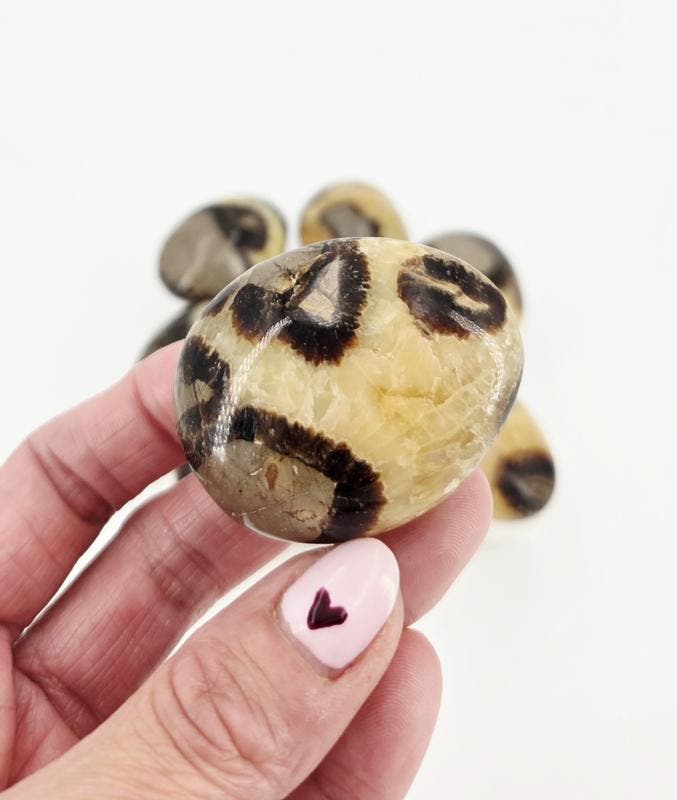 Septarie Handsteen/Broekzaksteen (per stuk), Verzamelen, Mineralen en Fossielen, Ophalen of Verzenden